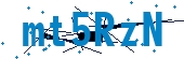 recaptcha